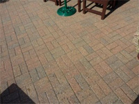 Patio after spraying