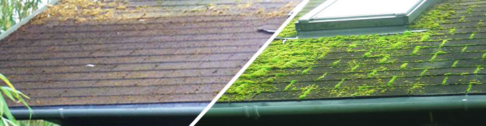 Roof Cleaner Before And After